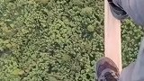 网友自制飞剑”，在百米高空御剑”飞行