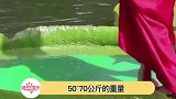大王莲叶可以承受50到70公斤，一把子站上去证明我没有140斤了