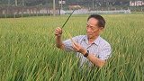 “水稻之父”袁隆平的荣誉驾照长啥样？多了7个字，全国仅一本
