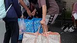 学生的纯粹友谊，高三离校时的感人一幕