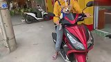 柯基和主人去逛超市，最后躺在收银台上一动不动，太逗了！