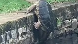 看着都着急，好想过去帮他一手