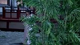 穿越女深夜游宰相府，竟没想到碰到美男子在沐浴，这下就尴尬了