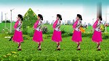 红领巾广场舞-20190126-热门广场舞《家在草原根在草原》草原天籁，大气飞扬！