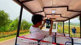 没想到西双版纳的后花园这么美.