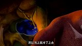 熊二崇拜白熊，像哥哥表达心意，不料熊大忍不住翻脸