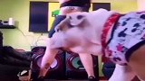 搞笑配音，哥们你这是犯了多大错，提前把家法都拿出来了