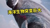 如果海洋生物变异体型变得很巨大的话人类到底有多绝望