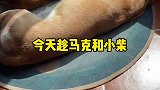 判断失误了，结尾很意外