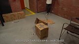 富二代发起“未知礼盒”挑战选错就毁坏贵重物网友看人品了