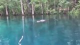 女子划船遭鳄鱼追踪，骂骂咧咧将其推开，镜头拍下惊险一幕！
