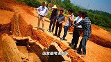 安徽挖出清朝武举人墓，专家刚挖一半被叫停，一村民：别挖我祖坟