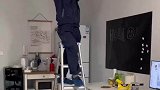 社恐猫咪见生人躲进水池藏起耳朵，它连耳朵都藏好了