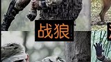 精彩枪战电影，开黑吗？