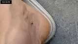爆笑视频不至于大哥，伤敌一千，自损八百！