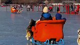 女子坐雪橇，前头假狗子歪七扭八