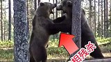 想不到兄弟俩竟然还干起来了