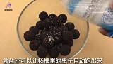 清洗杨梅，不要傻傻的只加食盐，多加一样，虫子脏东西自动跑出来