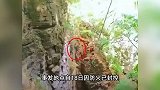 山西一徒步野游线路有驴友坠崖：全身多处骨折，事发区域已禁入