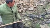 山西老农捡到烂木匣，内藏193件金器，专家：按克卖也值1150万隐贤山庄莞你好玩  东莞隐贤山庄