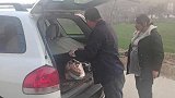 八哥给干爹送东西，正好赶上吃饺子，这样的画面真温馨