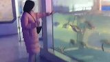 女生挥一挥手，小企鹅跟着往前冲