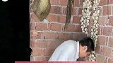 孕妇还可以吃龙眼牛爱芳的小春花视频中被证实怀孕但仍不忌口