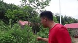 胖妹教你省钱小妙招，别人不要的鱼刺也能吃？一锅炖10斤真解馋