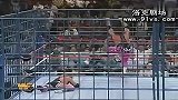 WWE-14年-那些年的五星比赛：牢笼赛Bret Hart vs Owen Hart-专题