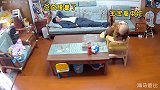 不看监控，永远不知道孩子有多爱你