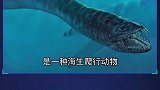 四个生活在海洋中的恐龙