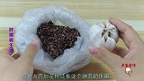 大蒜加花椒泡水喝，解决了很多人的烦恼，学会受益一生