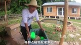 木屋花园鱼塘，搞一个过滤，这样就不会变臭水沟了