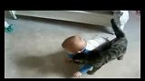 [搞笑]我就不让你过！直到你哭