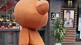 网红熊不去好好工作，一天到晚跑出去“惹事生非”