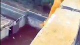 猫有九条命，也不能这么费吧