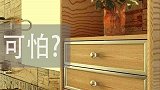 卫生间的害虫该如何预防消除害虫