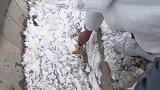 男子路边把结婚戒指弄丢