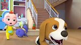 超级宝贝：小狗狗来啦，看它多可爱，一起来玩啊