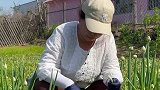 硬核老妈的谈话日常……扎心了农村搞笑 催婚