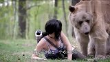 女子拿弓箭射一头棕熊,直接被熊扑倒,最后所有人都笑了