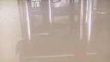 小鸟一觉醒来，发现自己的衣服没了到处找不到