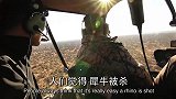 《杀害买卖》：母犀牛被偷猎者射s等待幼崽只有消亡