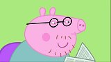 小猪佩奇：猪爸爸离不开眼镜，把眼镜弄丢了，在自己屁股下！