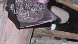 看半天都没看出这是个什么玩意儿，是蝙蝠又不是蝙蝠