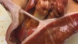 正宗的日本烤鳗鱼饭应该是这样的，你们吃过没