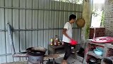 农村古宅关了2条狗，小邓今天给它们加餐，炖一只土鸡给它们吃