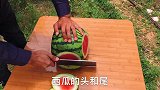 西瓜皮别再扔掉了，用它可做下饭菜，开胃下饭酸甜爽口