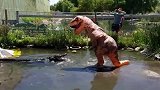 男子穿上恐龙装，恶搞水池中的猛兽！