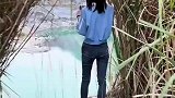这是拍到了什么？